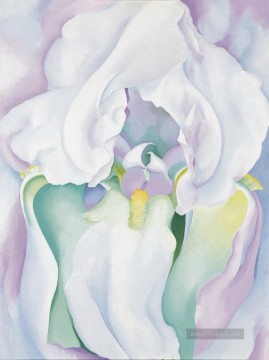  amerika - White Iris Georgia Okeeffe amerikanische Moderne Precisionismus